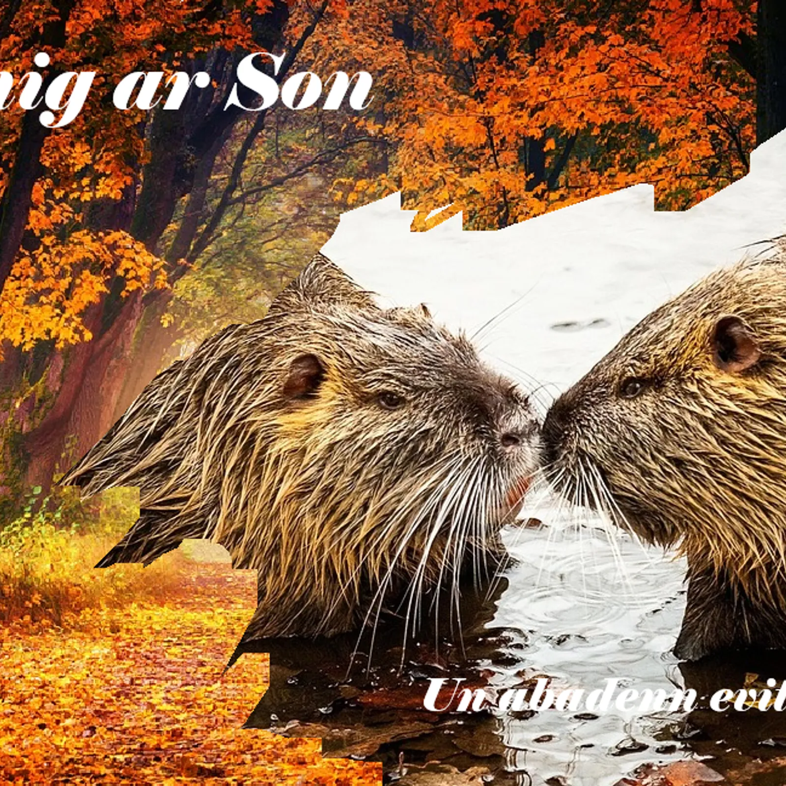 Petra zo da zebriñ er c'hleuzioù ? Ur valeadenn gant Valentin eus Ti ar C'hoadoù hag ur gontadenn gant Gireg Konan