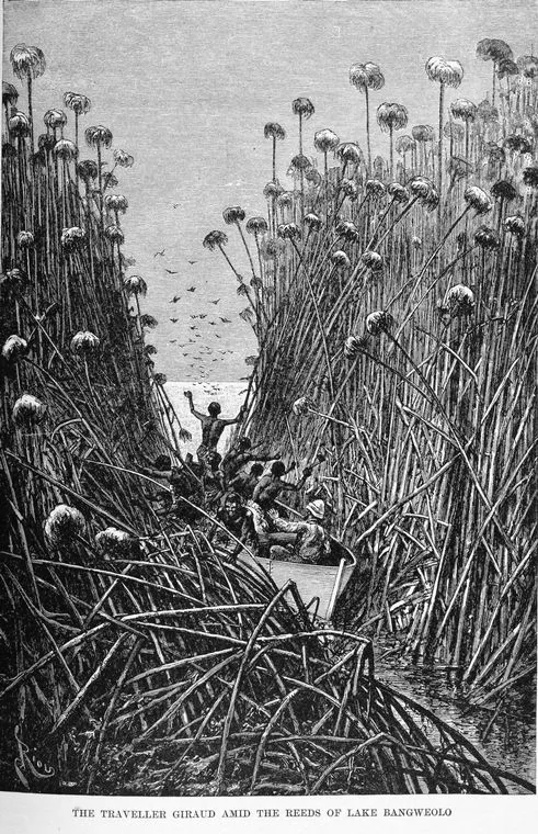 Bandes Organisées #11 : le Zamrock