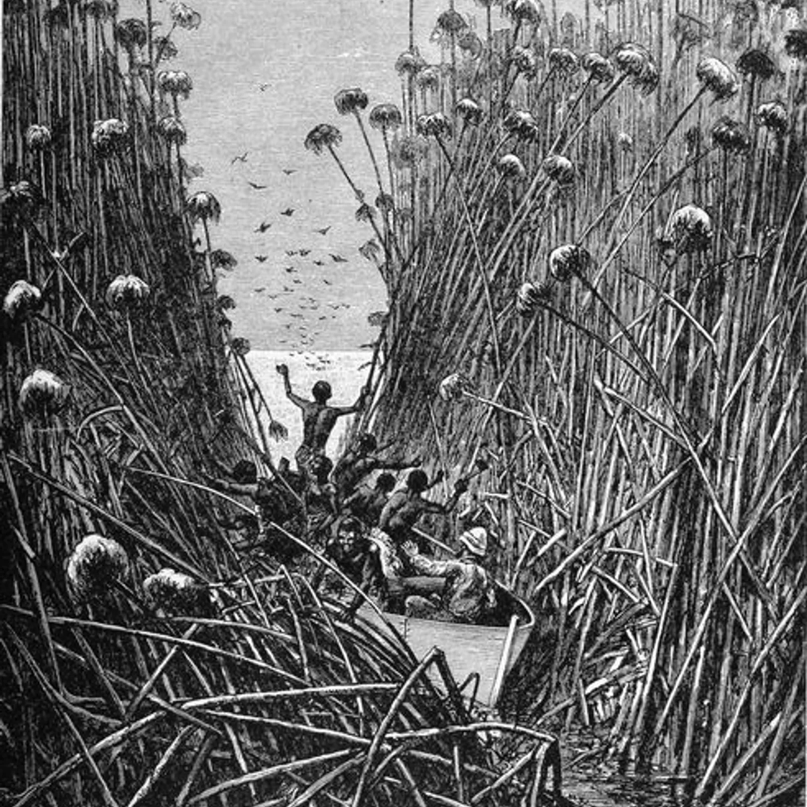 Bandes Organisées #11 : le Zamrock