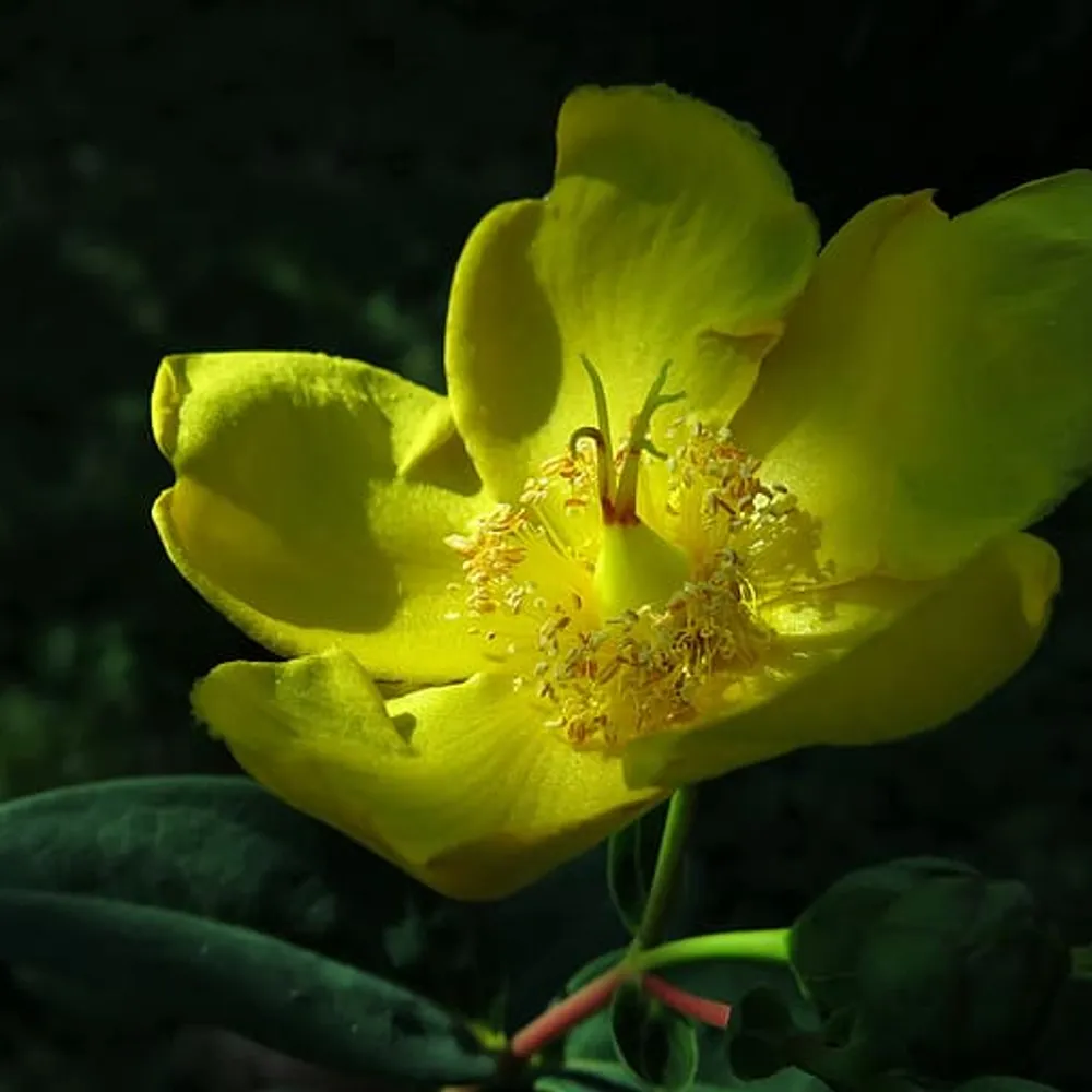 C'hwezh an deiz du 10 avril 2026