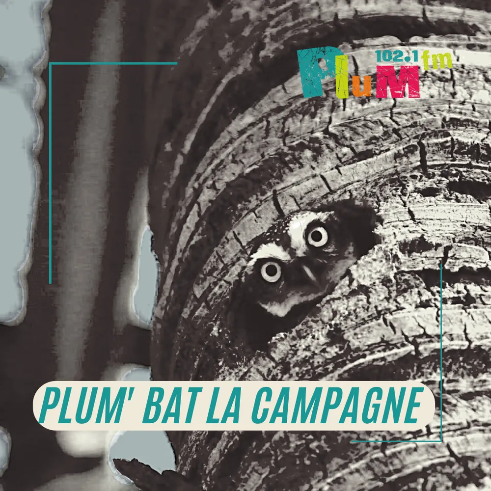 PLUM' BAT LA CAMPAGNE : CONFÉRENCE " OBJECTION DE CROISSANCE, BIEN VIVRE ET GRATUITÉ" PAR  PAUL ARIÈS