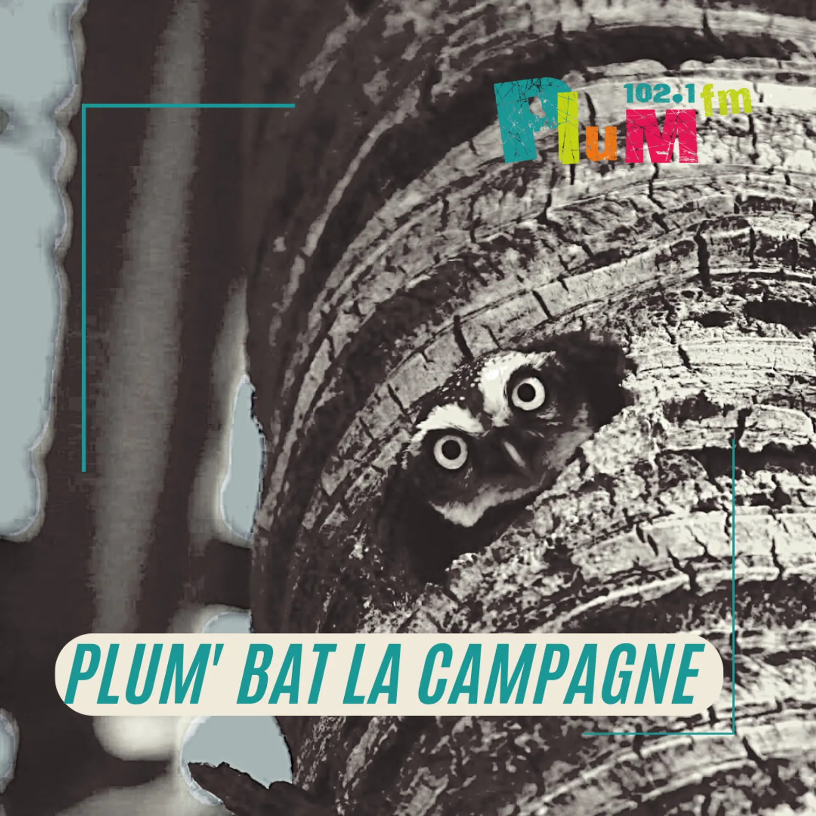 PLUM' BAT LA CAMPAGNE : CONFÉRENCE " OBJECTION DE CROISSANCE, BIEN VIVRE ET GRATUITÉ" PAR  PAUL ARIÈS