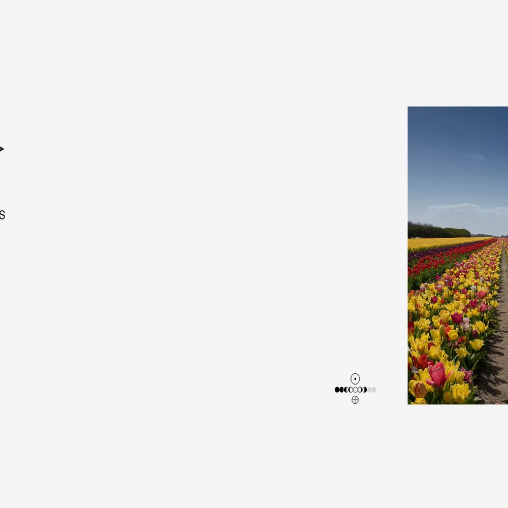 In Vacuum Noctis # 9