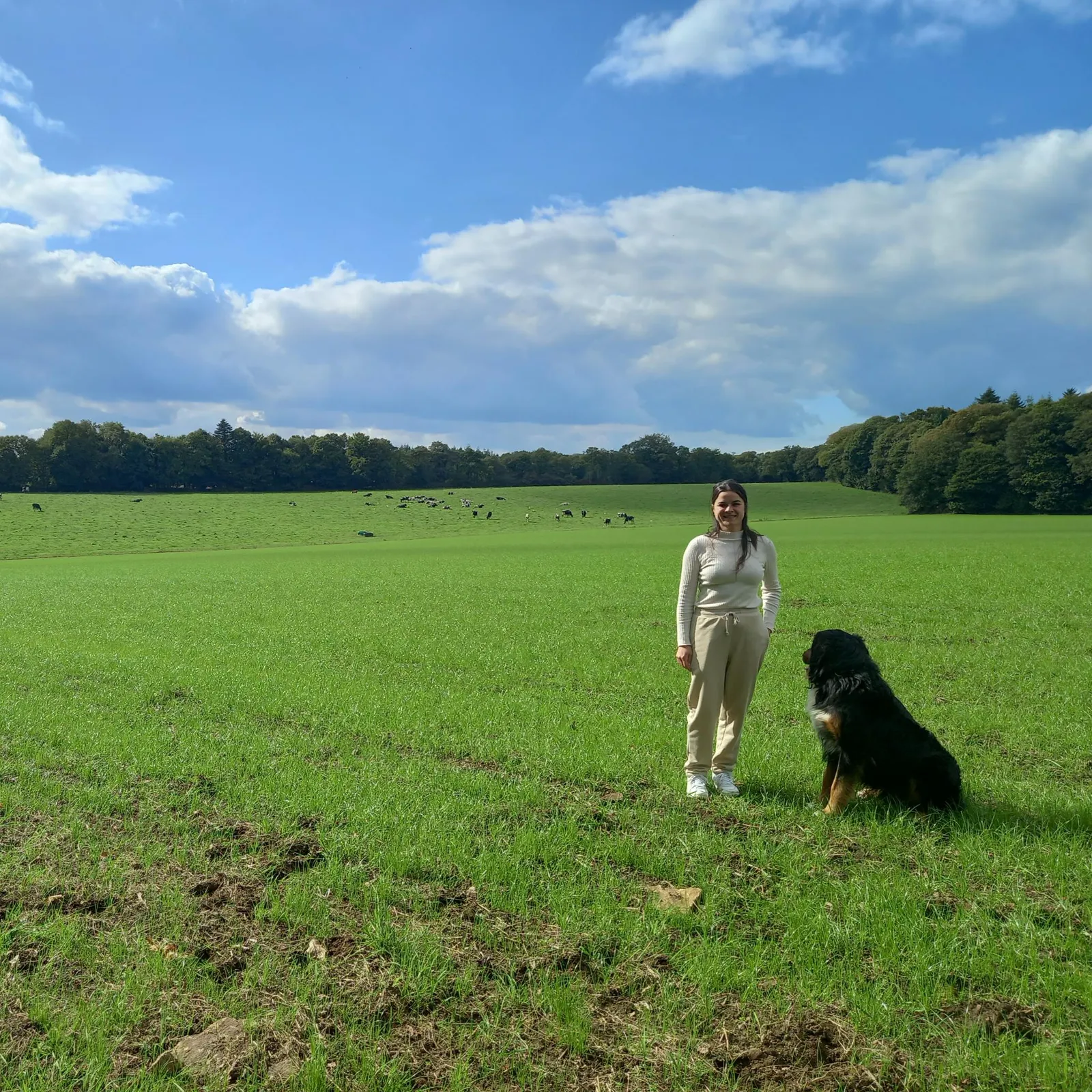 S'installer en tant qu'éleveur-éleveuse de vaches laitières en Morbihan, épisode 2"