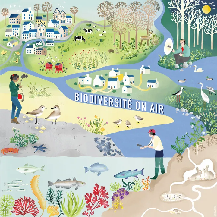 41-îles et biodiversité