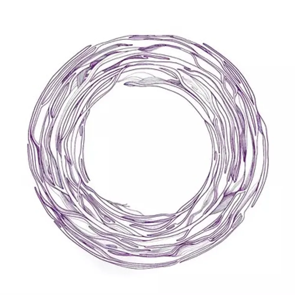 Avel em fenn - Yaou 14 a viz Meurzh