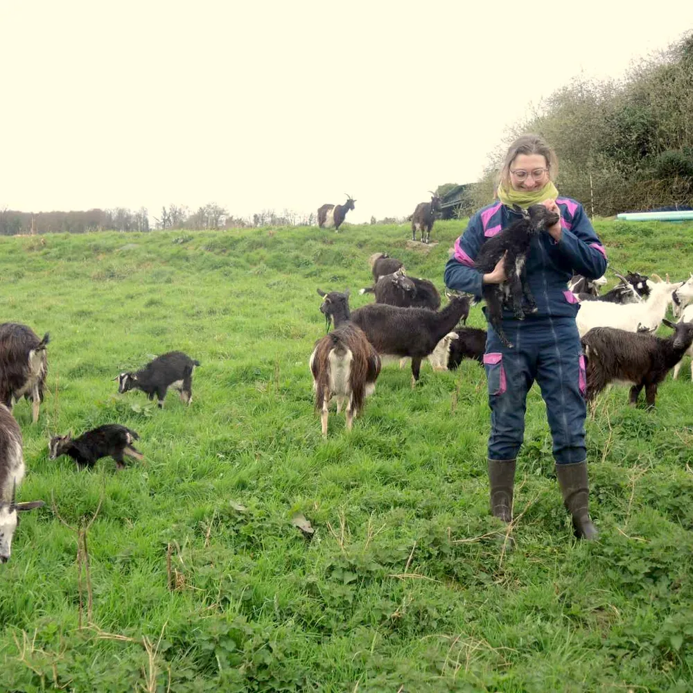 Alice au Pays des Chèvres