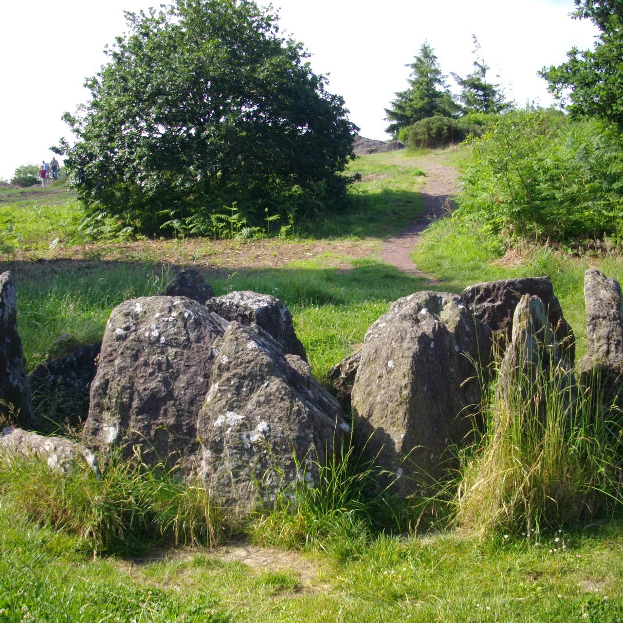 Les druides en Bretagne, rediffusion de Sevenadurioù