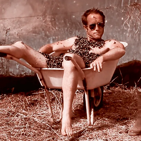 Festival In Cité : Rostrenen aux rythmes des artistes contemporains pendant 15 jours