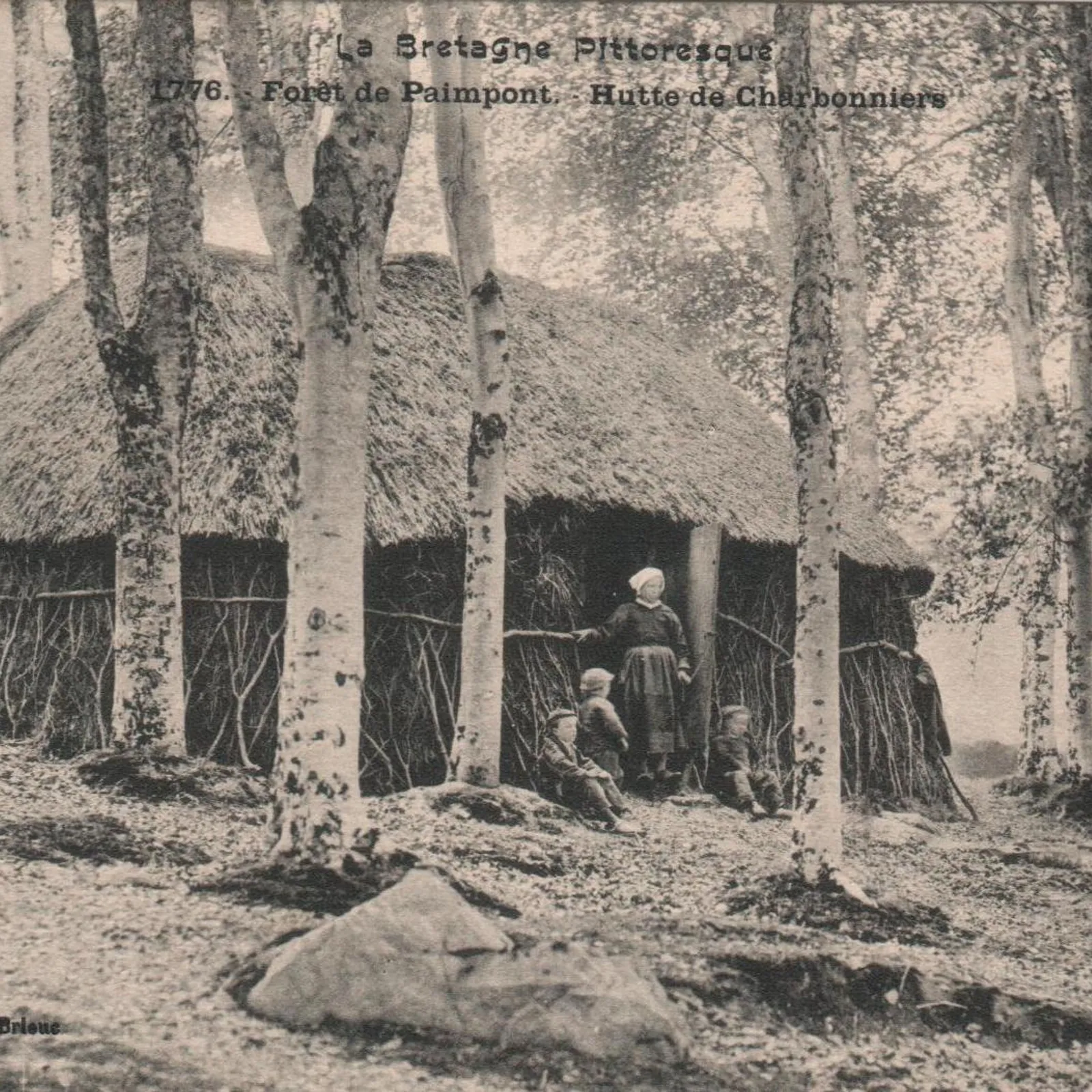 Noms d’oiseaux et réparateur de parapluie