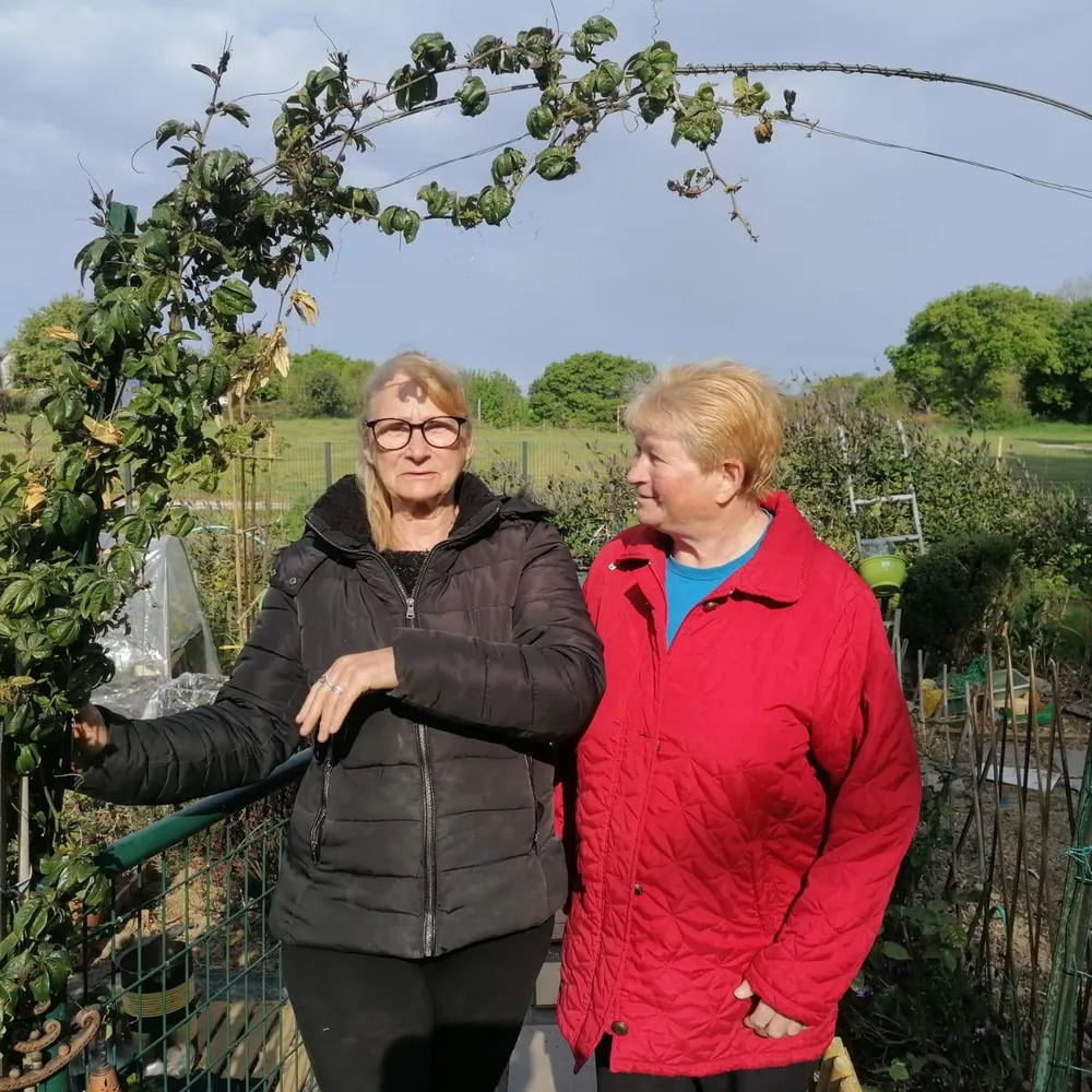 RADIO JARDIN - LE PLATEAU VERT - QUELIVERZAN