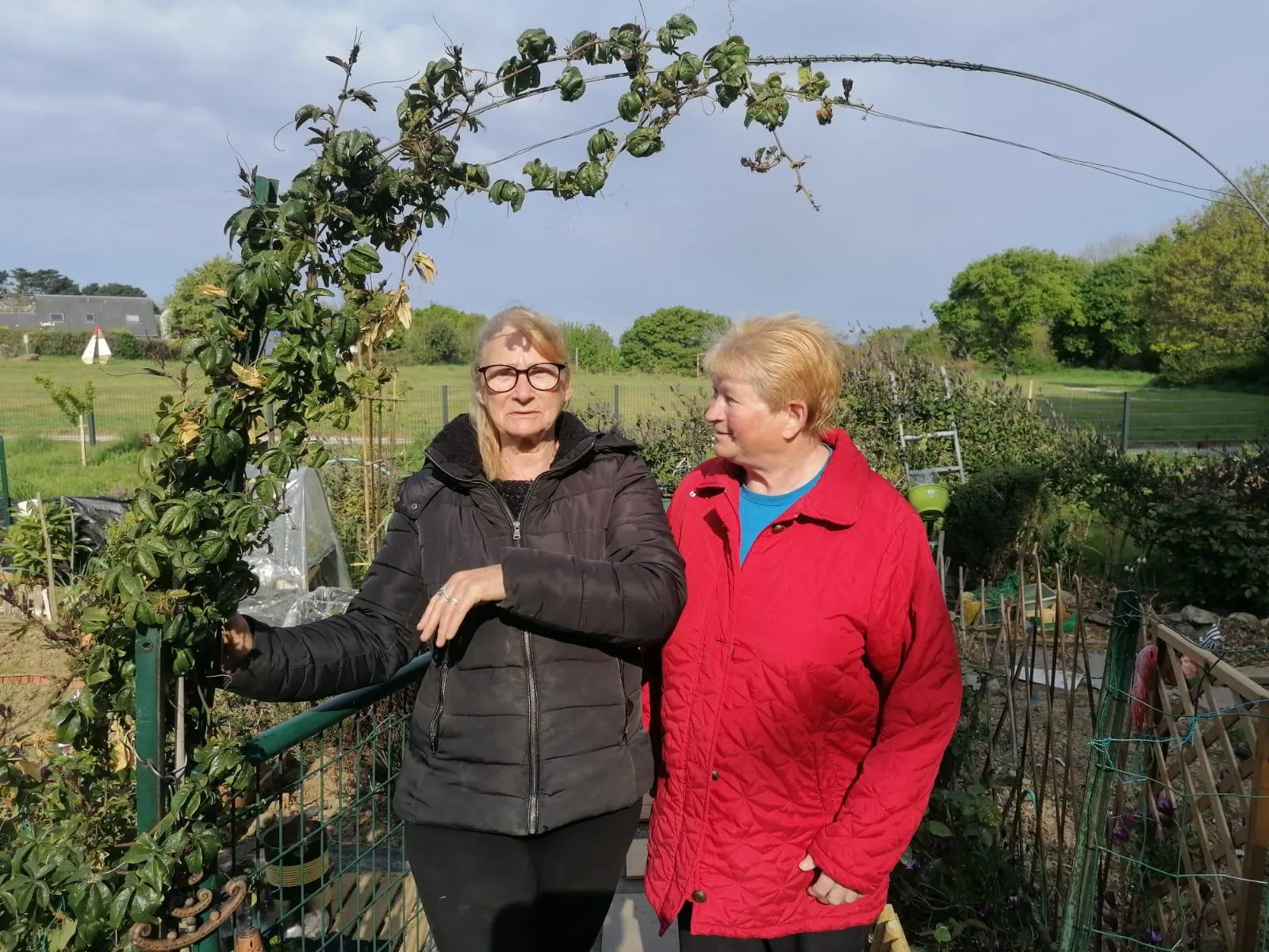 RADIO JARDIN - LE PLATEAU VERT - QUELIVERZAN