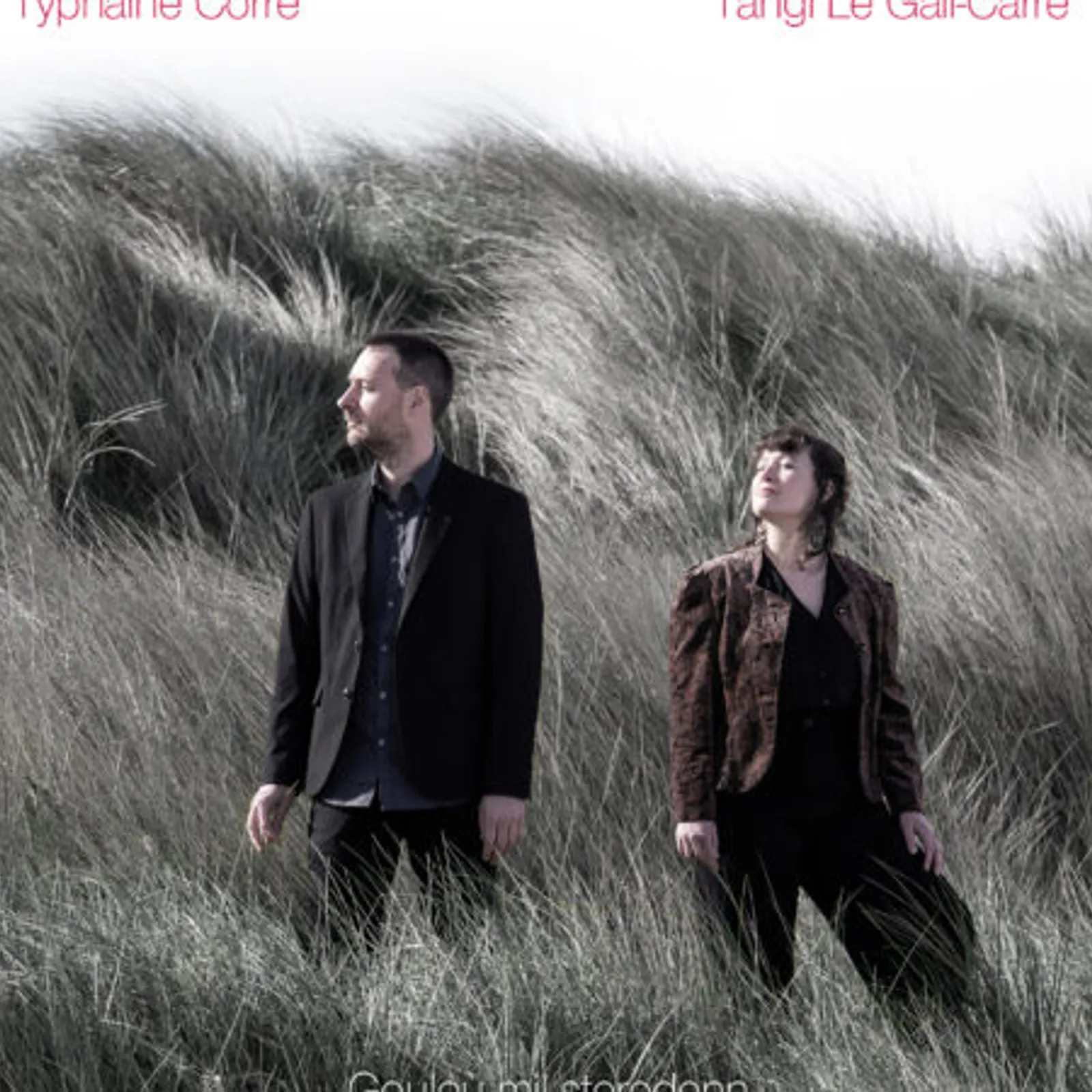 Avel Em Fenn - Merc'her 26 a viz Du