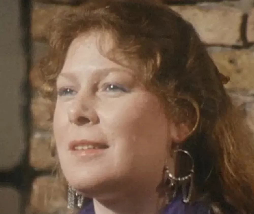 Ar c'han saozneg en Iwerzhon 