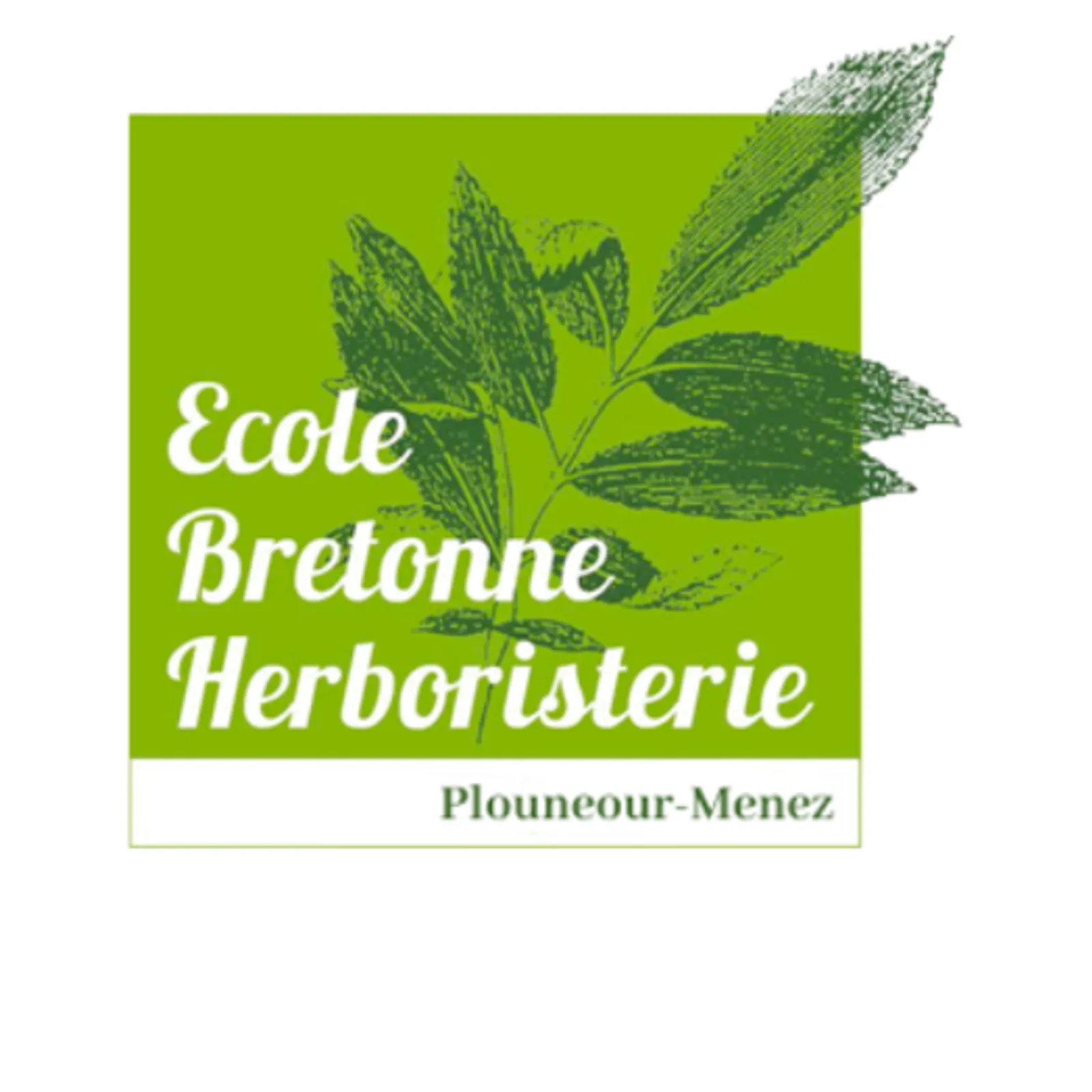 C'hwezh an deiz 23/10/2024