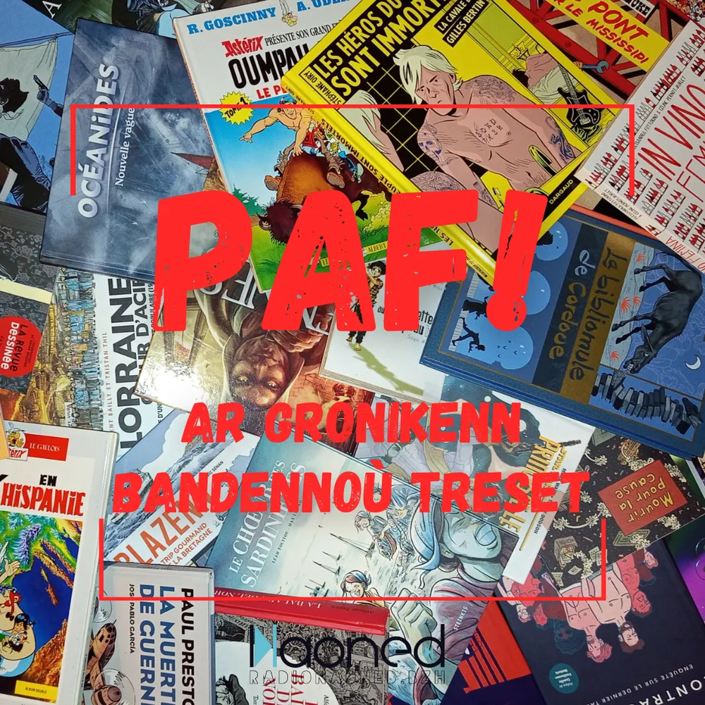 La bande dessinée : art ou littérature ?