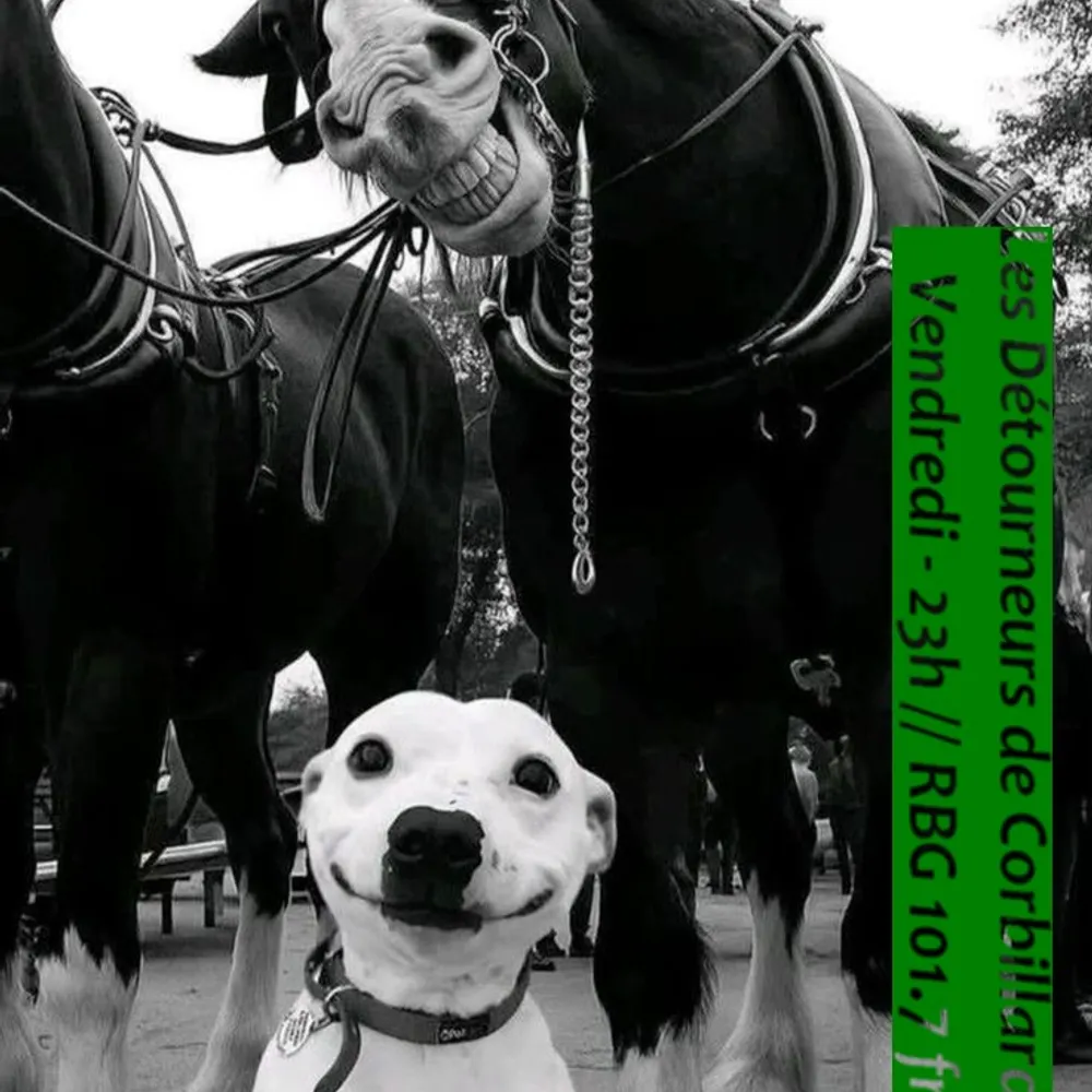 Au Revoir Tristesse ...