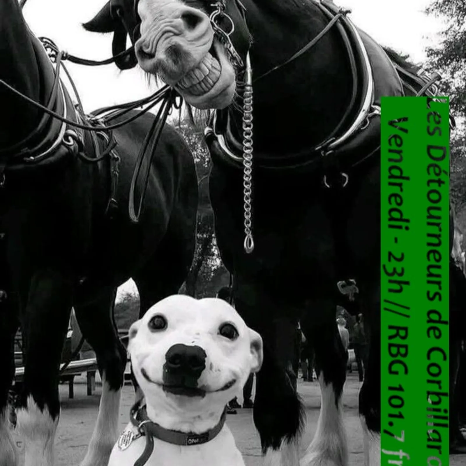 Au Revoir Tristesse ...