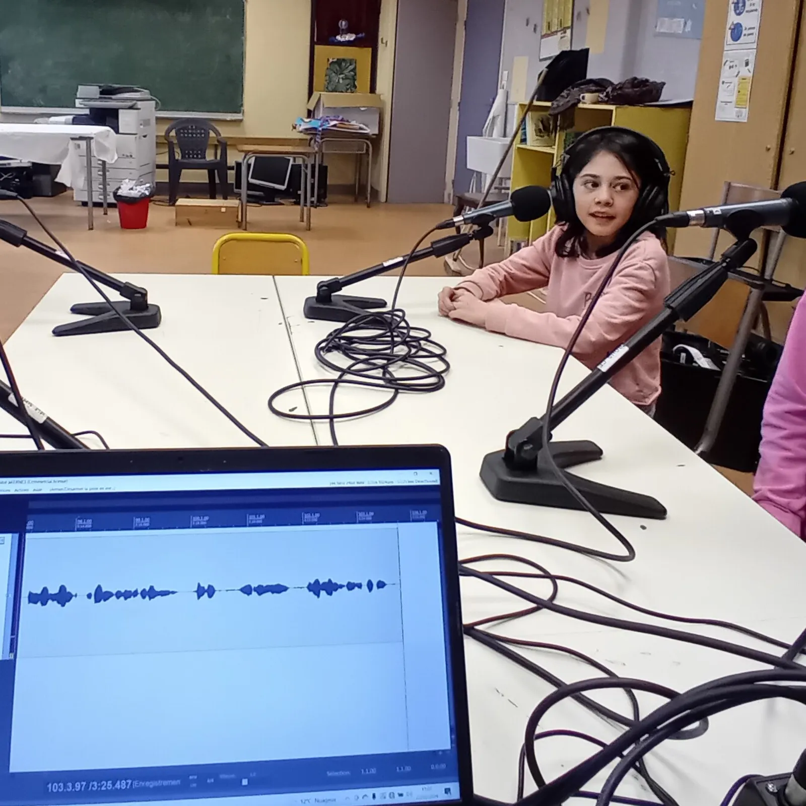 Dans le monde des BDs par les élèves de l'école Diwan du Blosne