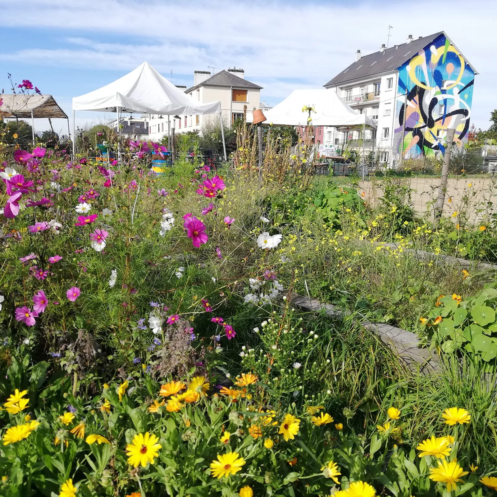 Tarzh an noz du jeudi 4 mai 2023