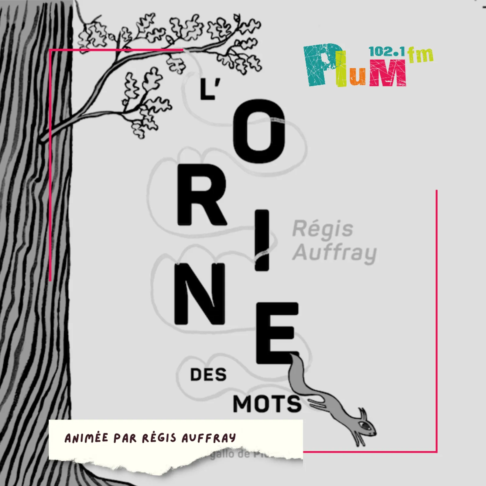 L'orine des mots : le pouë
