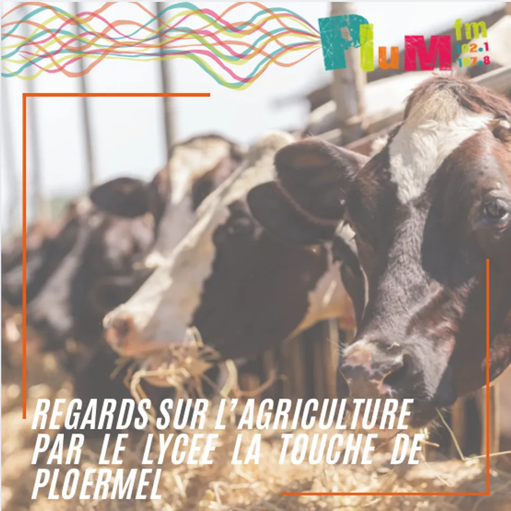 L'histoire de la ferme du lycée la Touche de Ploërmel, avec Ewen, Killian et Gweltaz