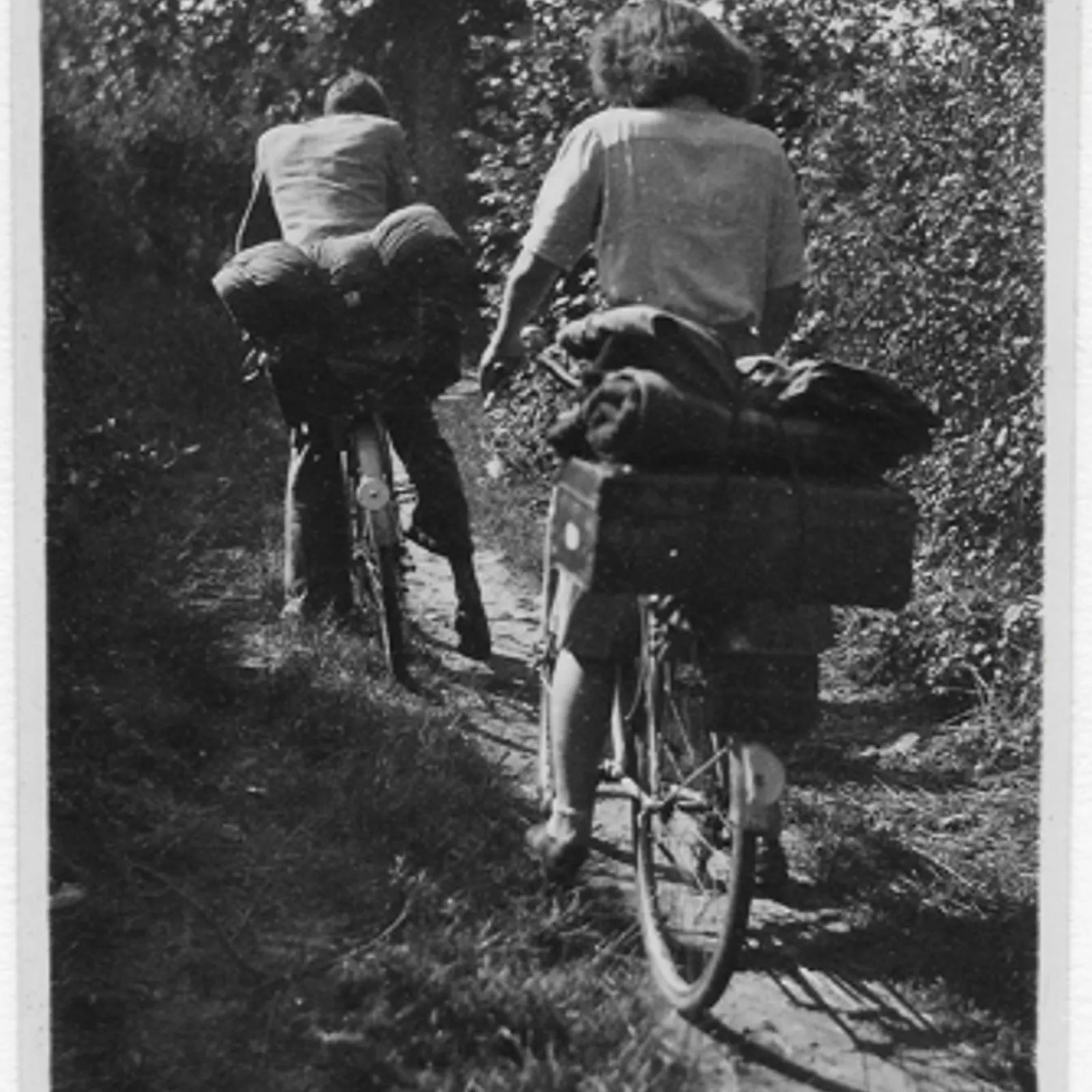 La guerre racontée par les femmes - n°1