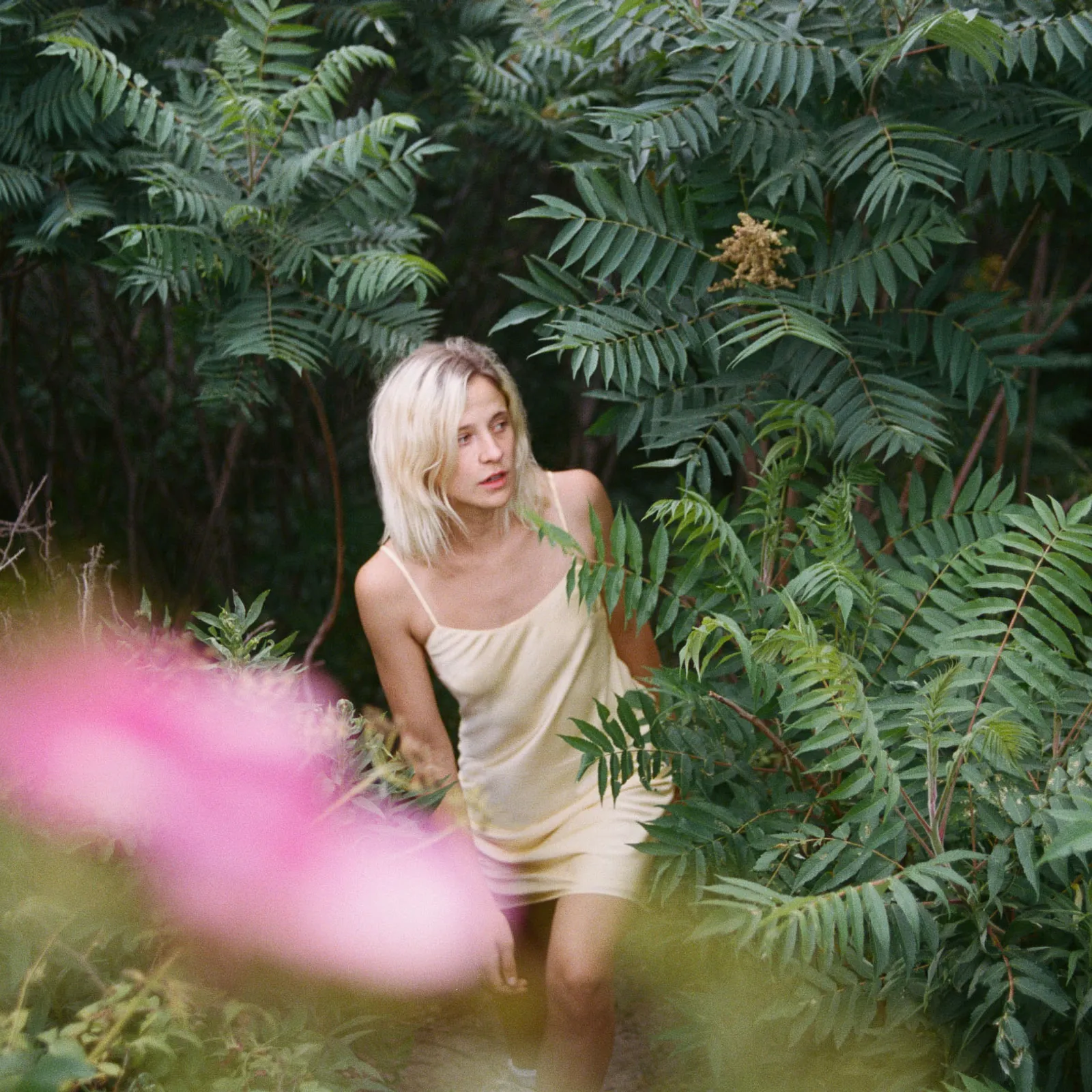 Trans Vinyl Express #113