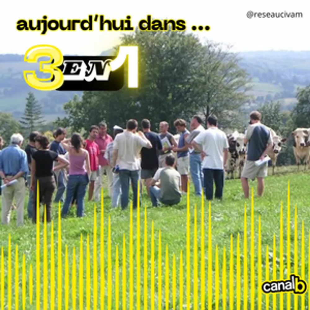 3 en 1 - Comment favoriser l'agroécologie malgré les baisses de financement (avec le CIVAM) ? / Sexisme dans le football : comment féminiser le sport malgré tous les propos misogynes ?