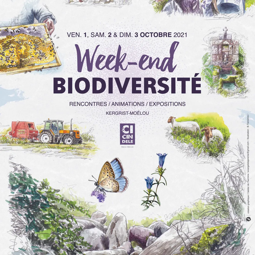 Table ronde - Week-end Biodiversité Cicindèle - Enseigner dehors