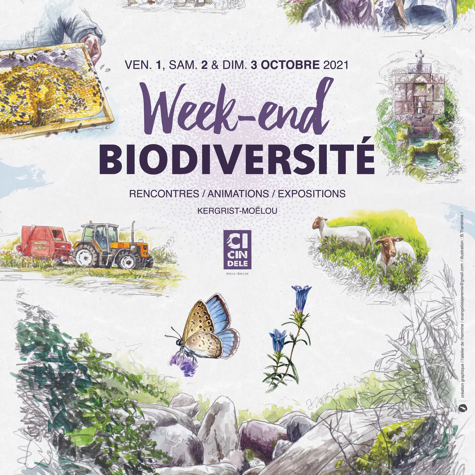 Table ronde - Week-end Biodiversité Cicindèle - Enseigner dehors