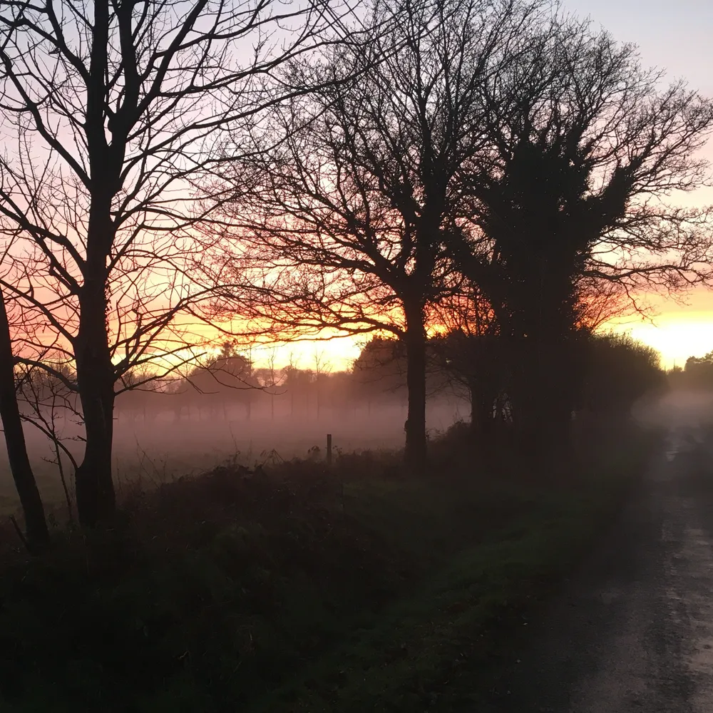 L'Arbre paysan - entretien avec le naturaliste Jean-Luc Le Jeanne - Episode 2