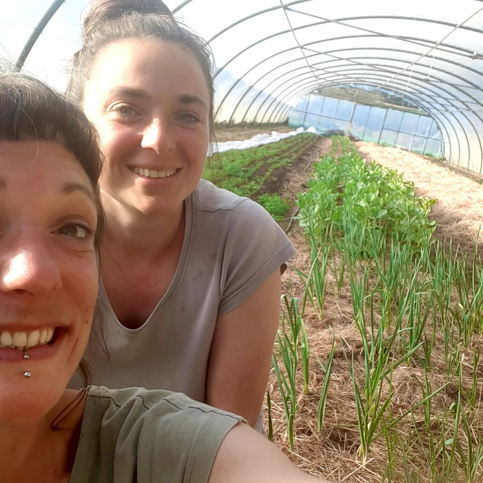 Tunvezh, de la radio au maraîchage