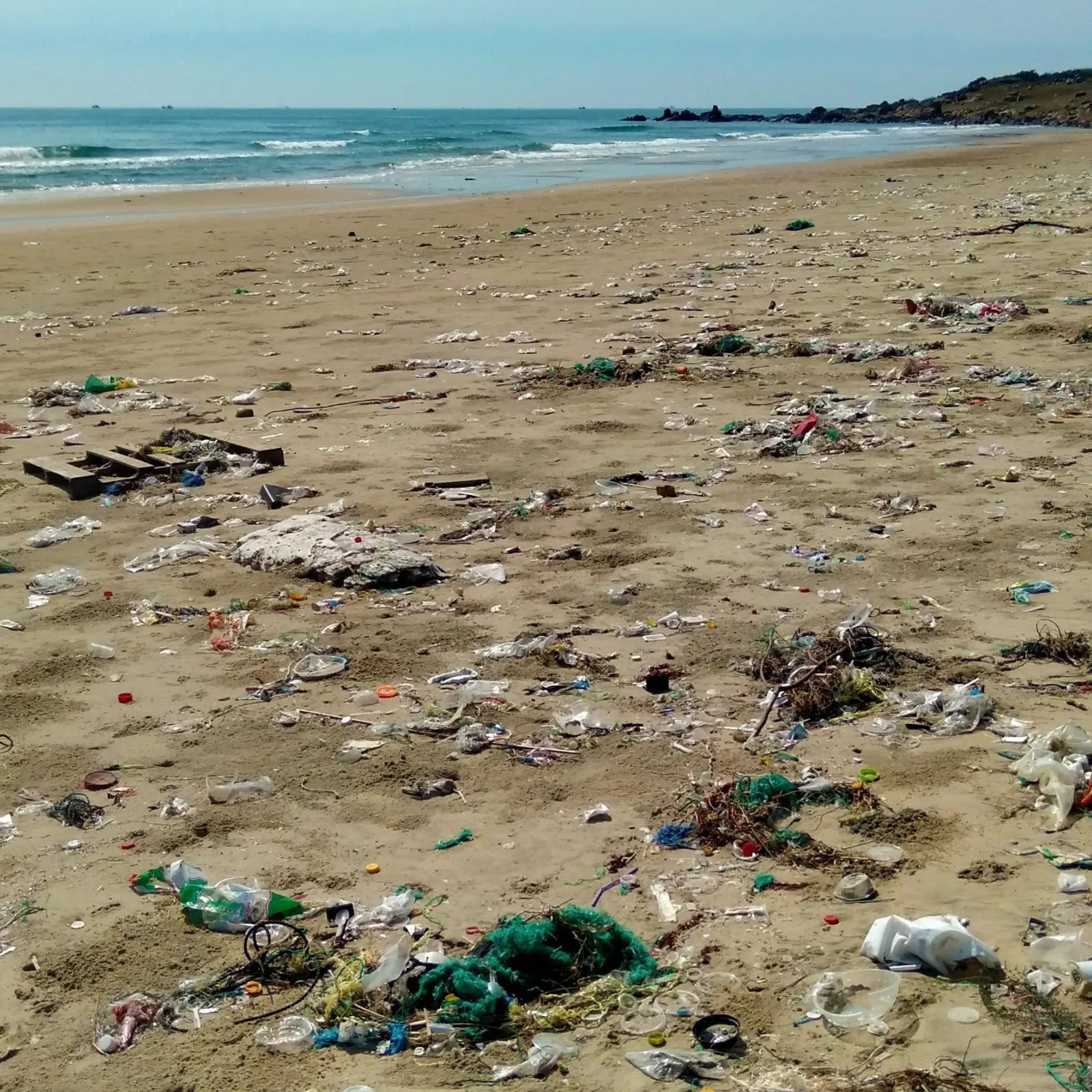 LE LAB U #67 UNE BOURSE ERC POUR LE PROJET DE RECHERCHE OSPAPIK