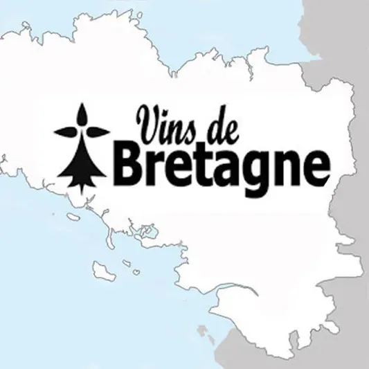 IGP Vins de Bretagne, un projet porté, entre autres, par l'AVVB et l'AVB