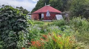 Virjini Besnard - Liammoù etre an dud