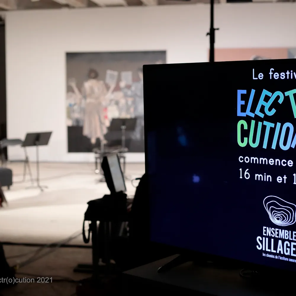 Festival Electrocution