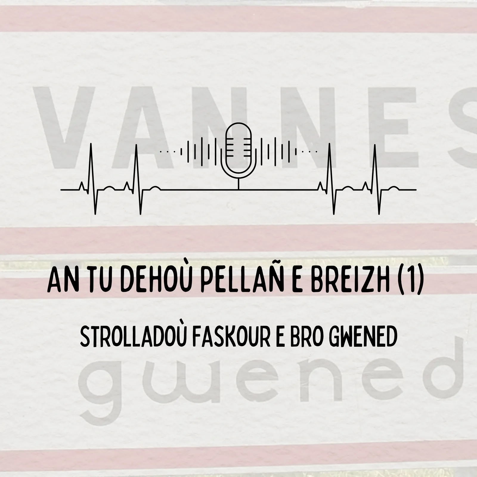 An tu dehoù pellañ e Breizh : Ar strollad faskour e Gwened (1/3)