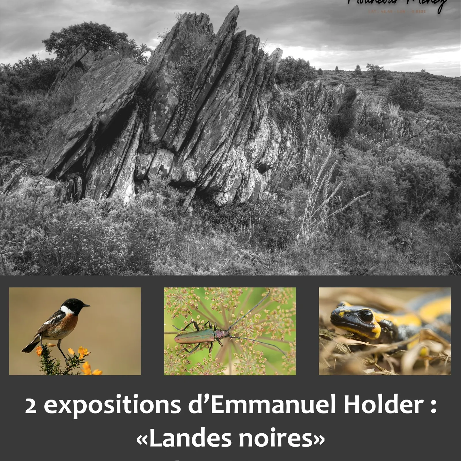 "Landes noires", exposition des photos d'Emmanuel Holder à Plounéour Menez