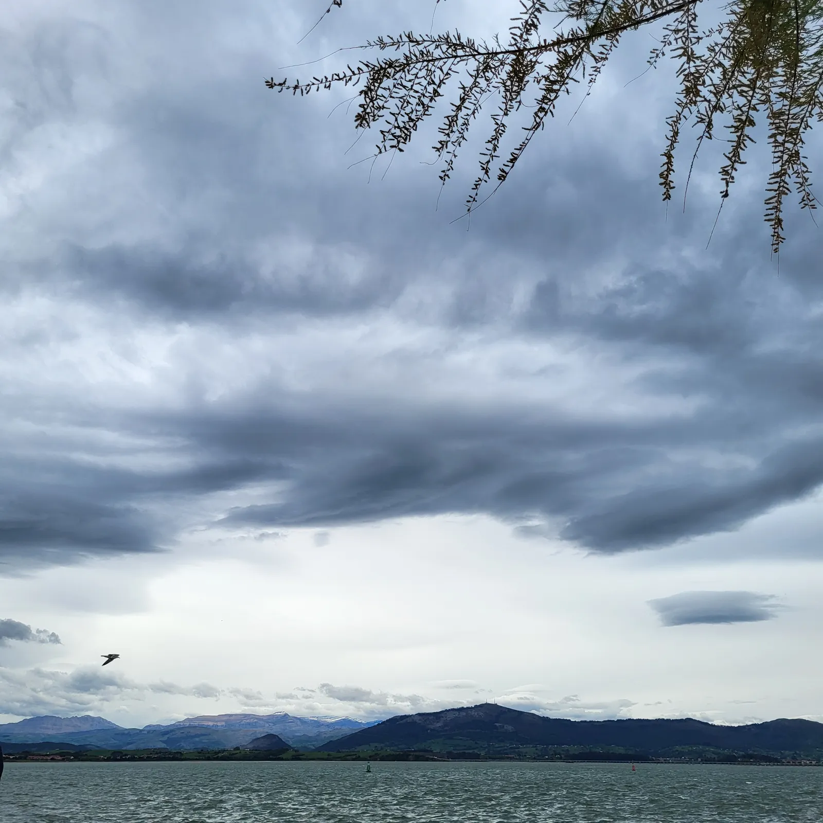 Soaz Maria - Morlaeron Sine