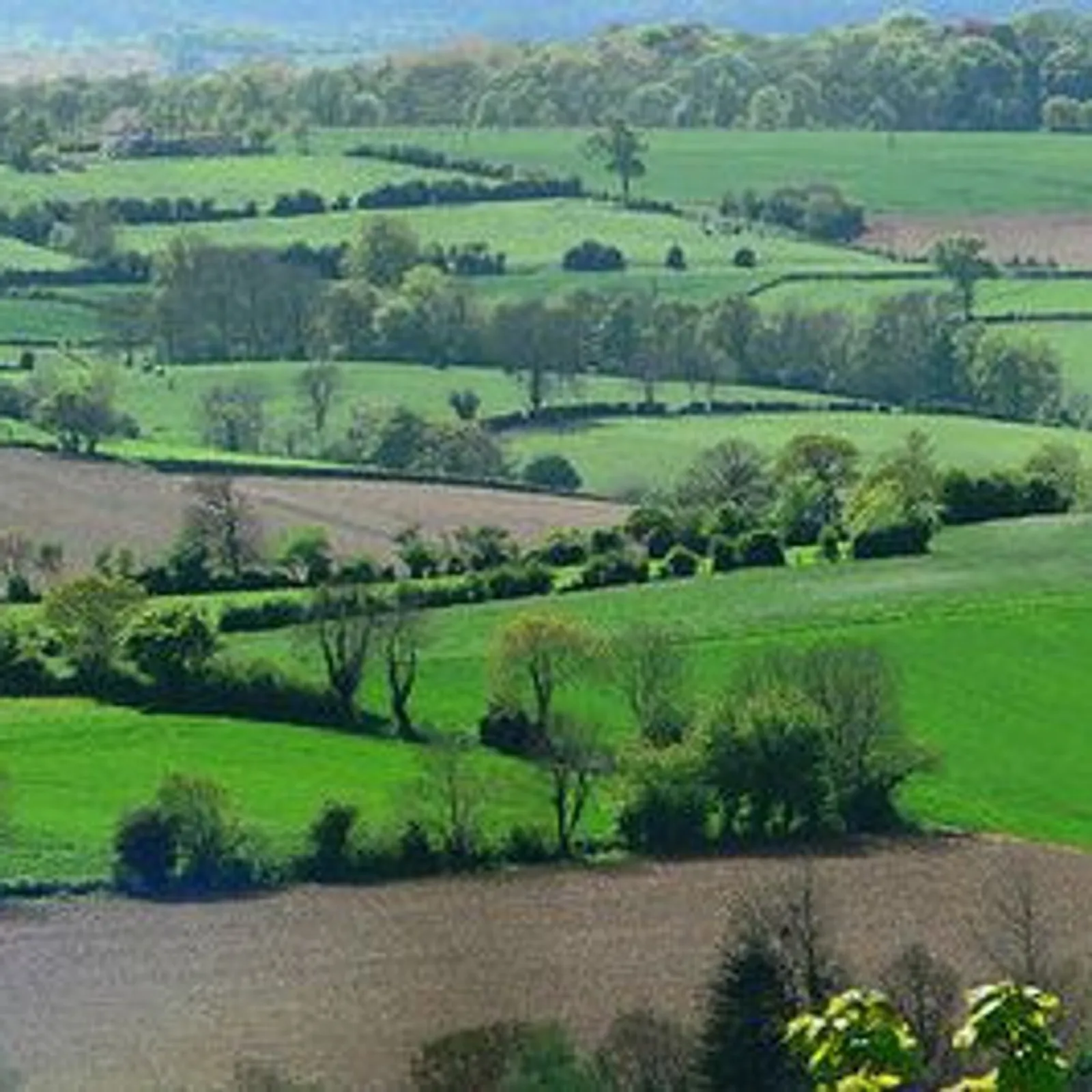 Strollegezhioù lec'hel : penaos tommañ ar savadurioù gant koat ?