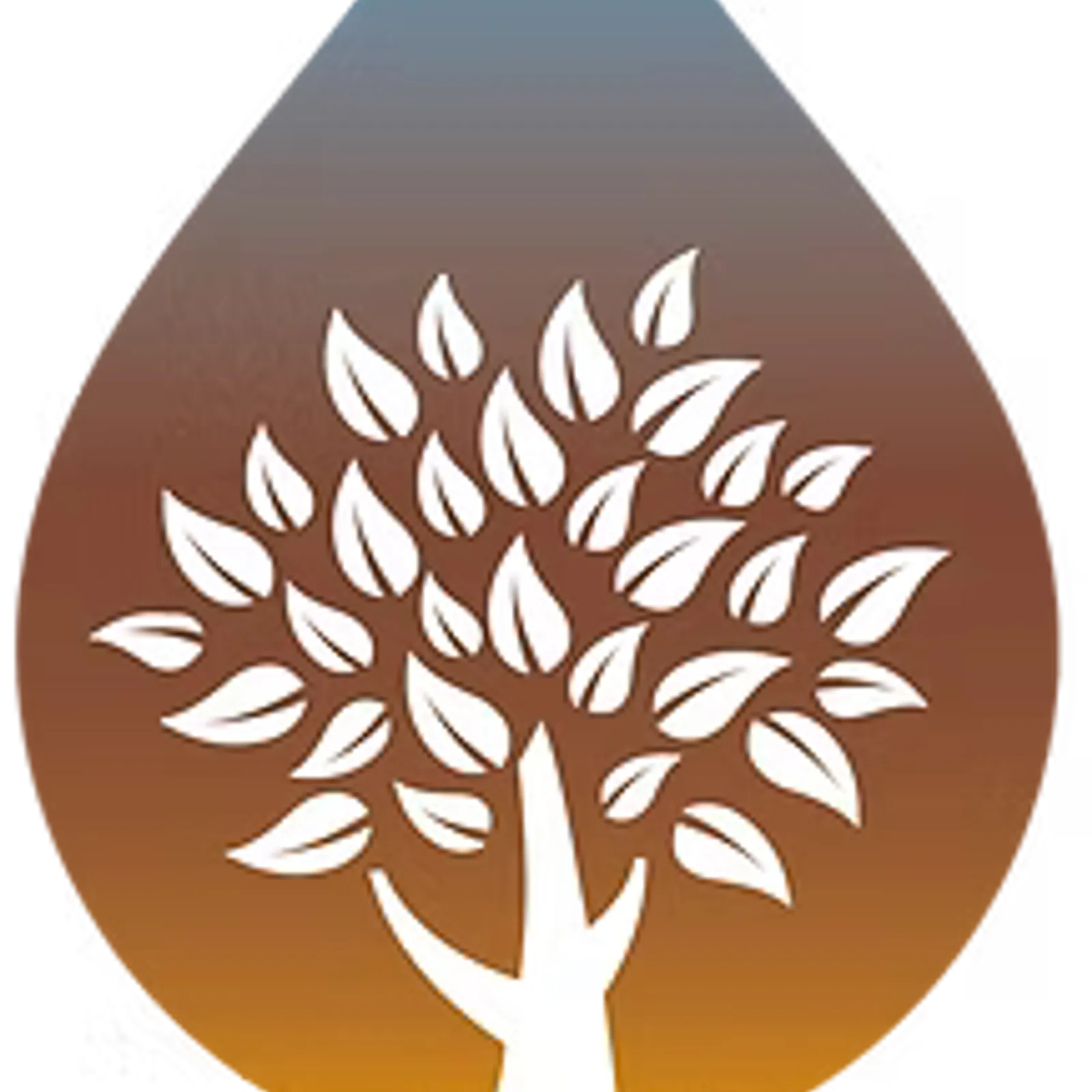 Armel Barazer -Dour Douar