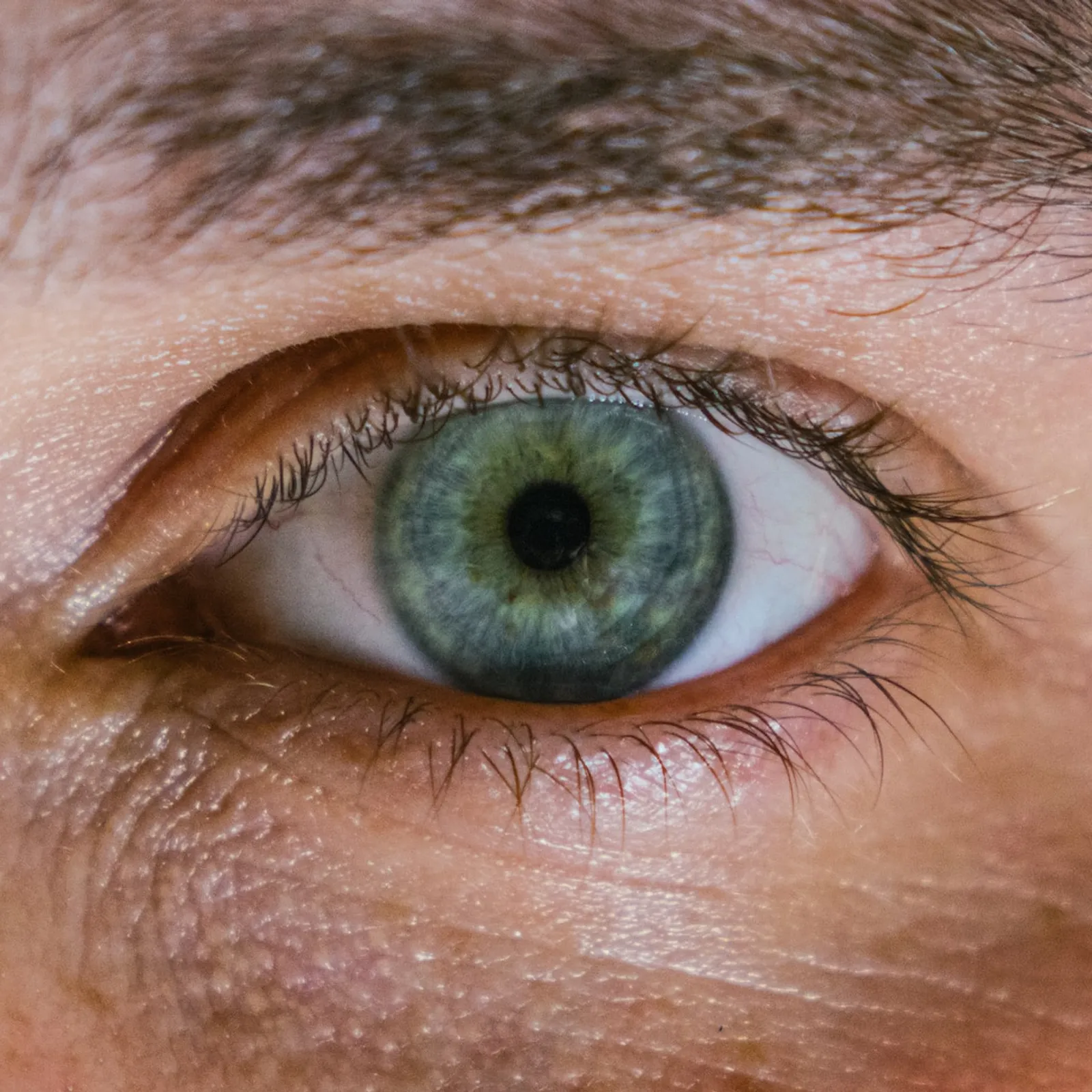 2vn evit kompren an daoulagad distronk