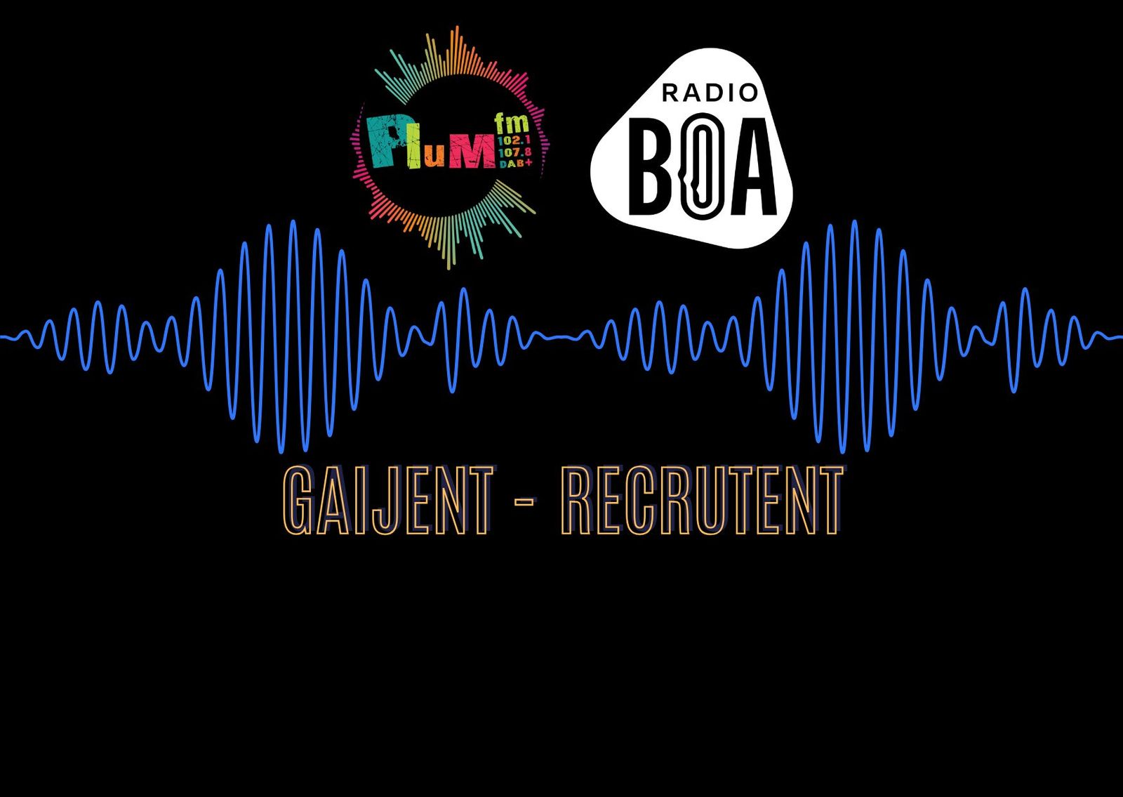 Plum’FM e radio BOA gaijent ! Plum’FM e radio BOA gaijent ! 