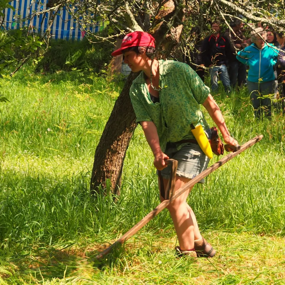 Une championne au travail de la faux, Julie; globe-trotteuse agricole est à Tremargat