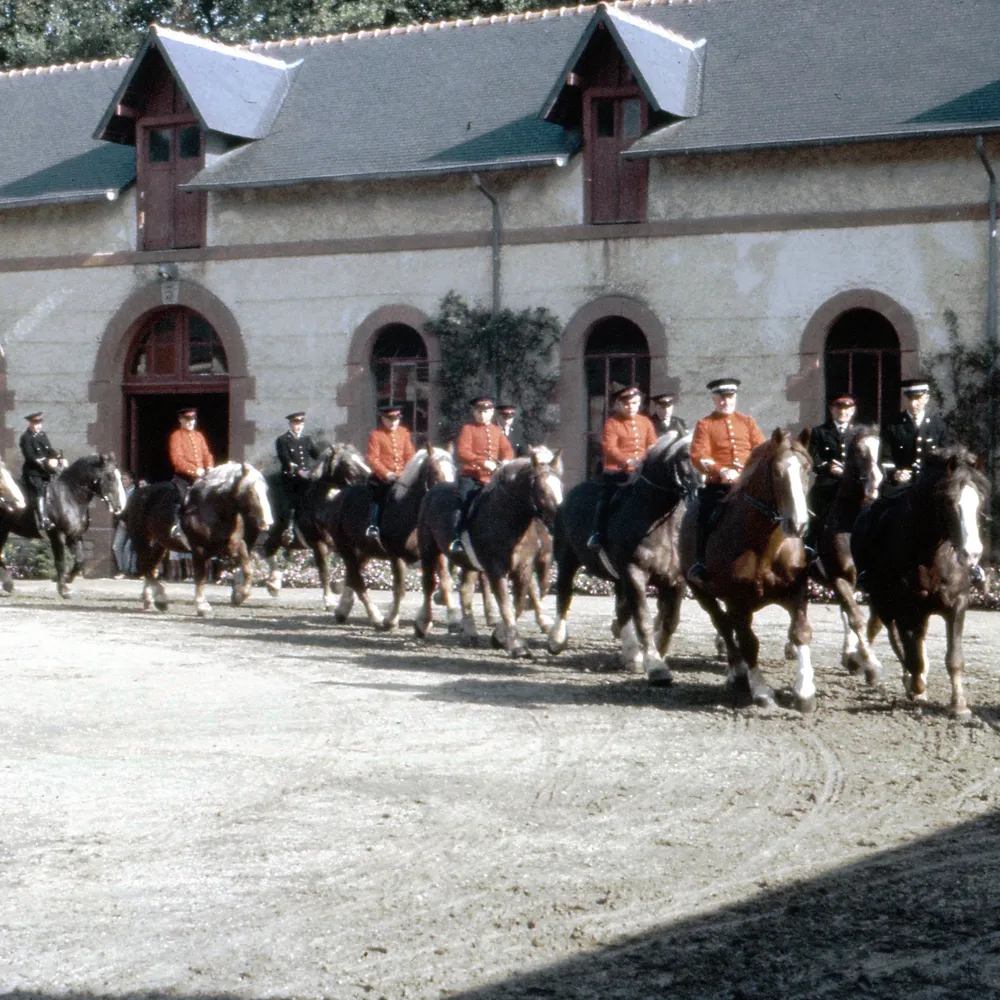 Le Haras d'Hennebont