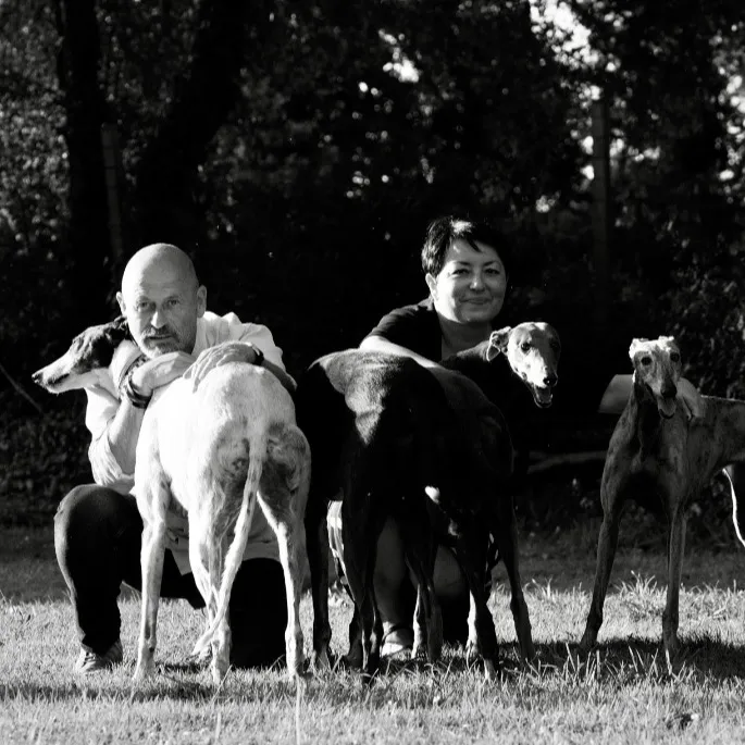 Spotlight on Brittany - mai 2025