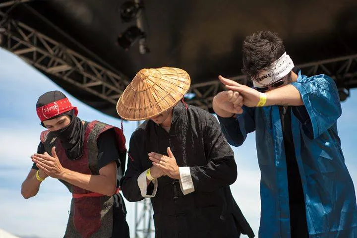 Trans Vinyl Express #55