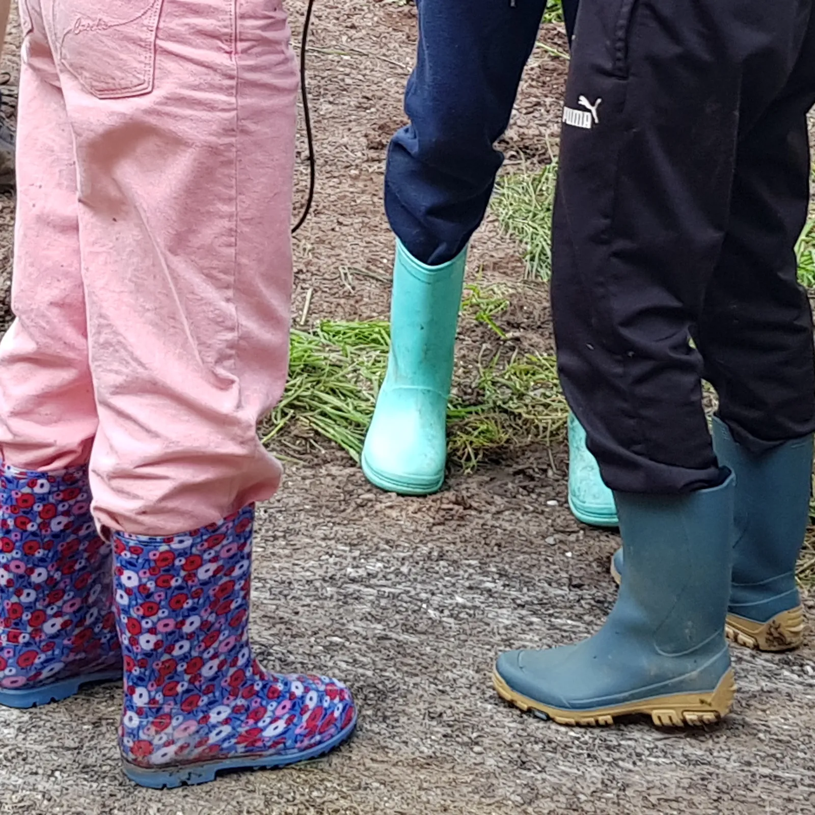 ATELIERS RADIO - Augan - École dehors