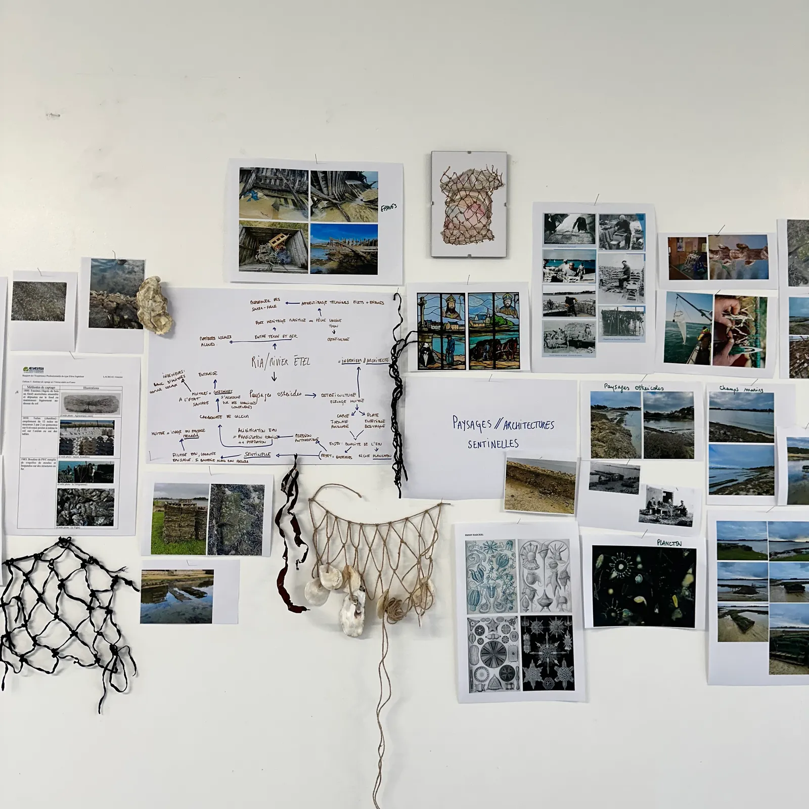 Florence Wuillai : tisser le paysage de la ria d'Etel